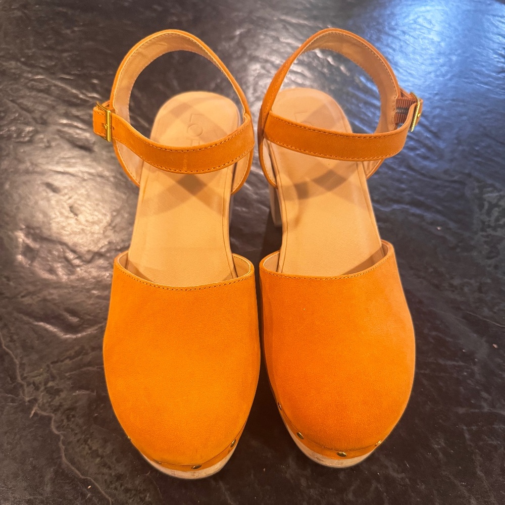 LOFT Suede Shoes